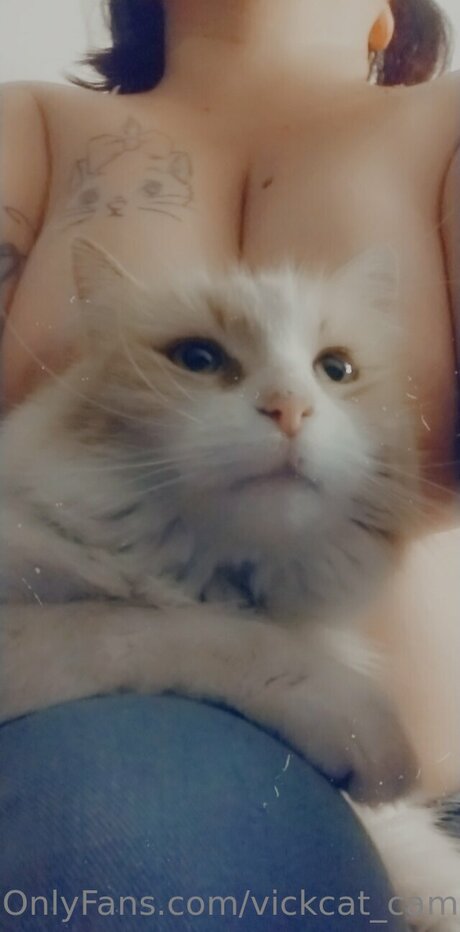 Vickcat Cam star du porno adulte img