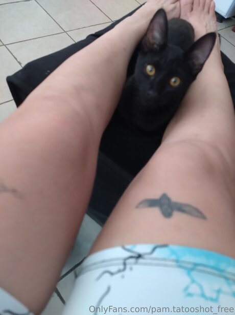 Pam Tatooshot Free nus étoiles photos