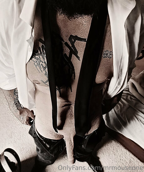 Mrmouseone xxx étoile images