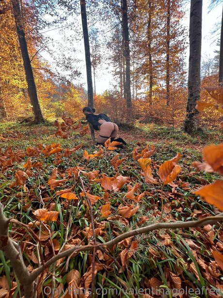 Valentinagoleafree nus étoiles photo