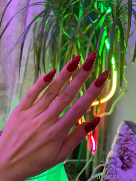 Lissa Skarlet art de star du porno collection