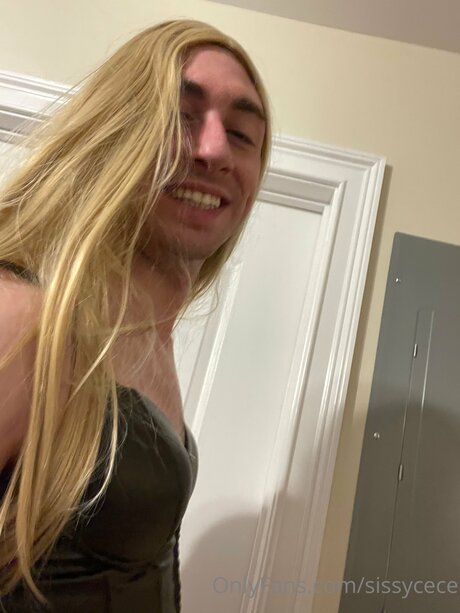 Sissycece actrice érotique collection