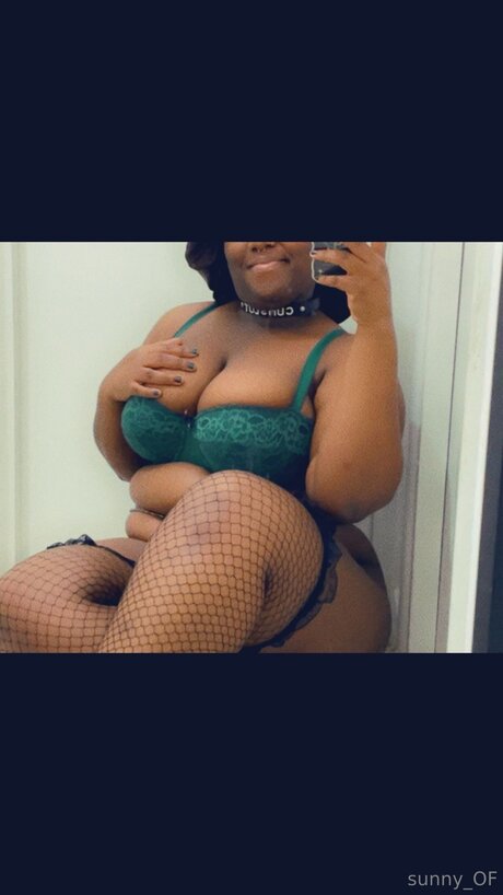 Sunset Vibes joli modèle images