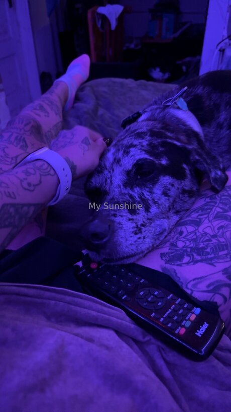 Lovebug911 belle star du porno image