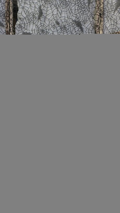 Therebeldoll sexe star galerie