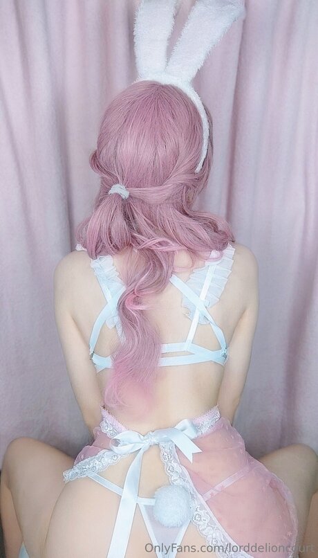 Lorddelioncourt modèle sympa collection