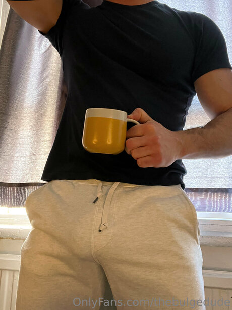 Thebulgedude étoile de l'art photos