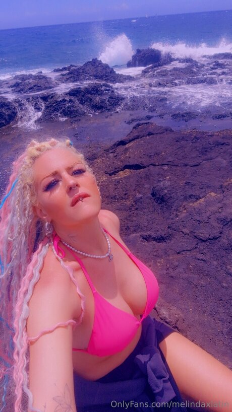 Melindaxlatin étoile de haute qualité des photos