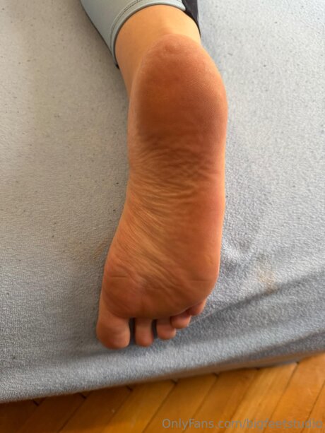 Bigfeetstudio star exclusive collection