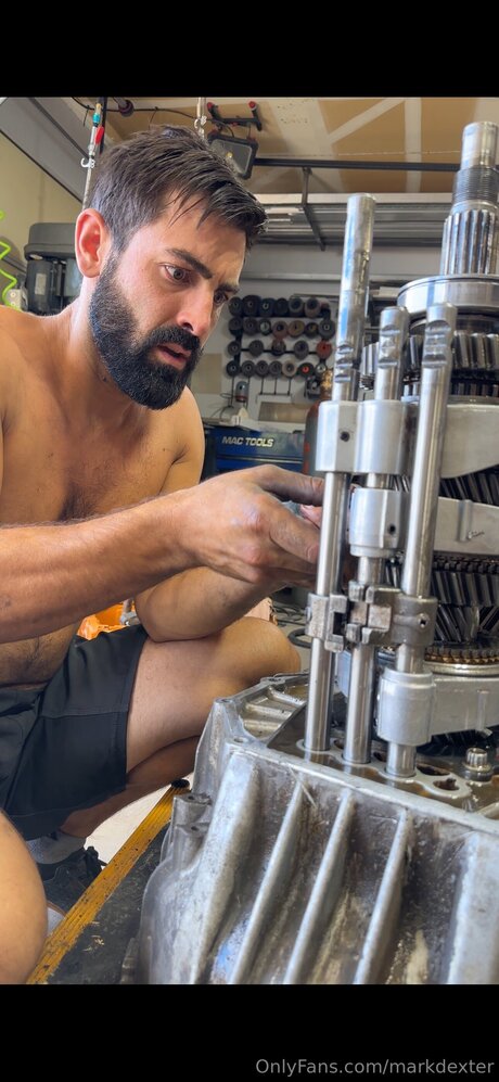 Dexterdexter art star du porno img