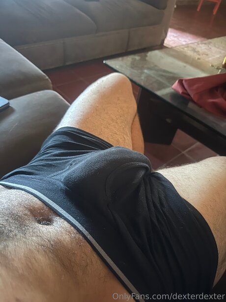 Dexterdexter actrice parfaite collection