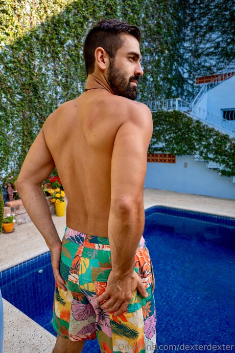 Dexterdexter actrice collection