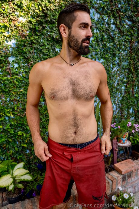 Dexterdexter étoile magnifique image