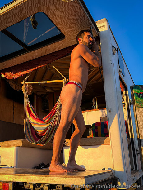 Dexterdexter star du porno belle collection