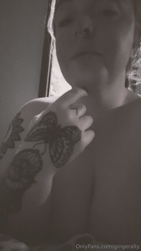 Gingerally étoile de l'art image