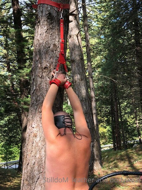 Stilldom modèle exclusif galerie