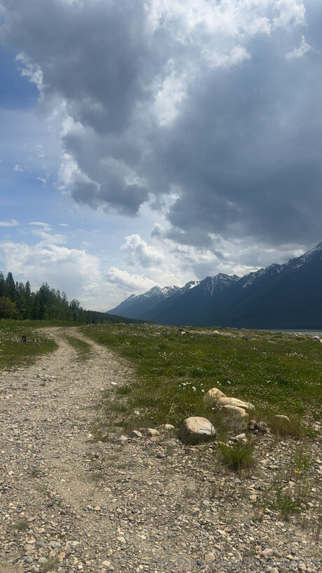 Juicyjaneeeee étoile gratuite img