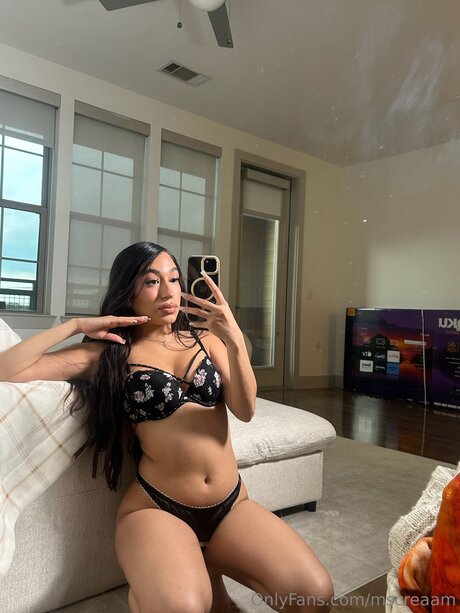 Mscreaam modèle gratuit img