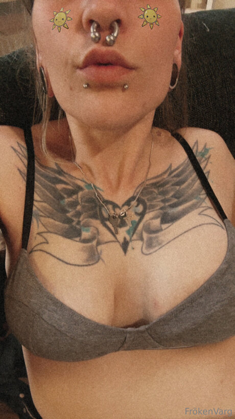 Frokenvarg étoile adulte archive