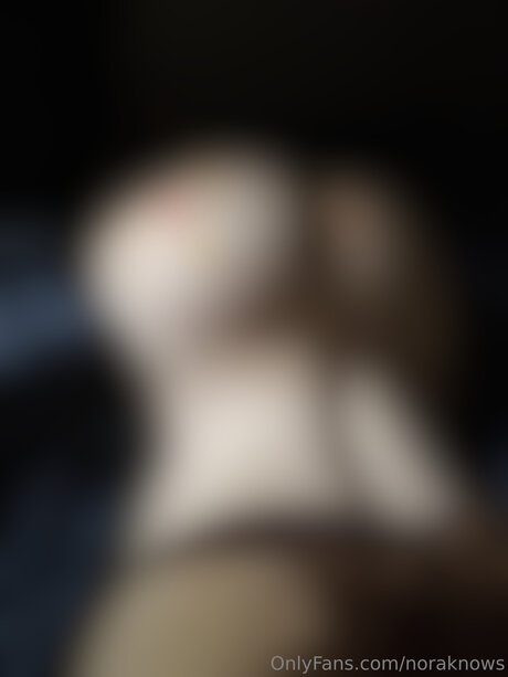 Noraknows nus étoiles galeries