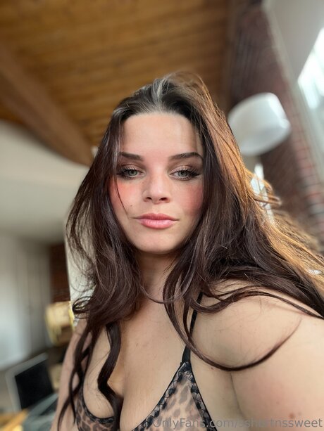 Sshortnssweet modèle gratuit galerie