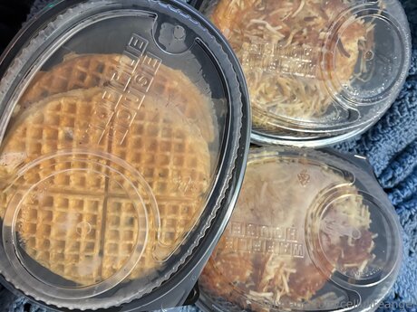 Celluliteangel art de star du porno images