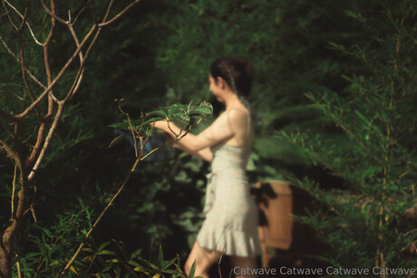 Catwave actrice parfaite archive