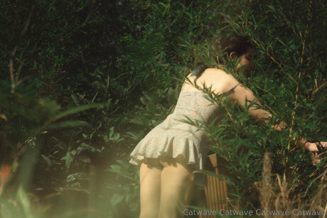 Catwave star du porno collection