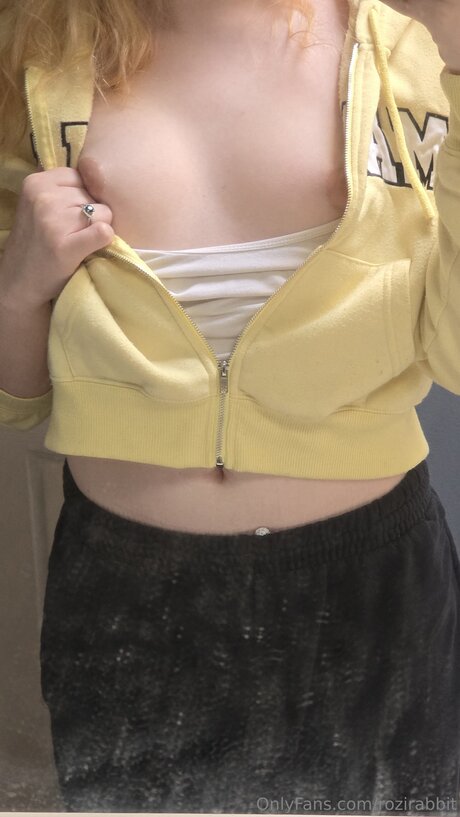 Rozirabbit modèle gratuit archive