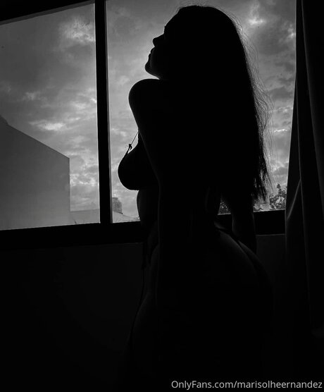 Marisolheernandez modèle joli collection