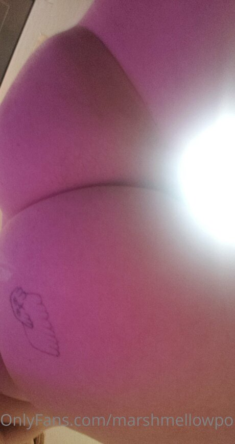 Marshmellowponi modèle sympa img