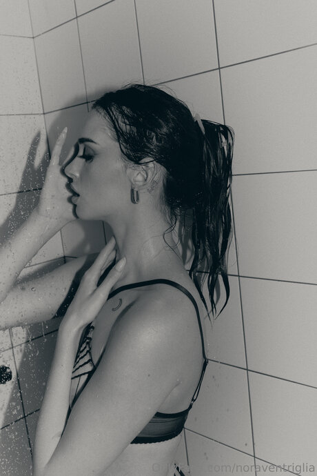 Noorventriglia star du porno hd collection