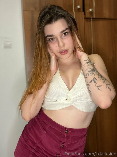 L Darkside nus de stars du porno image