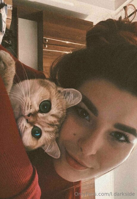 L Darkside haut de star du porno archive