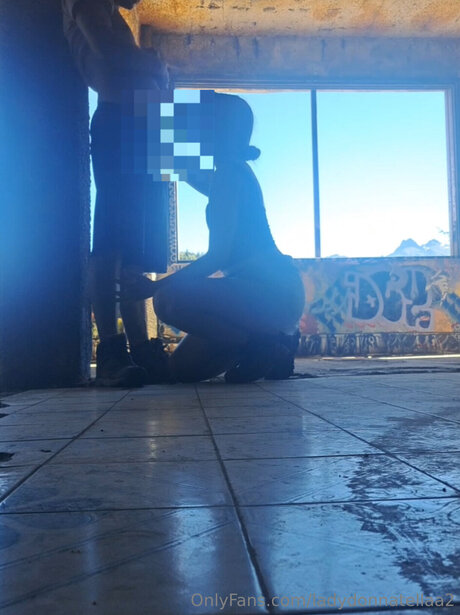 Ladydonnatellaa2 art de star du porno archive