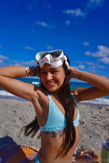 Spicypicklegirl99 art étoile collection