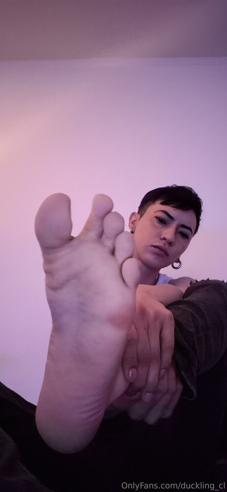 Duckling Cl étoile exclusive galeries