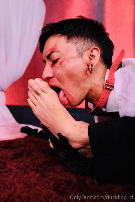 Duckling Cl étoile nue des photos