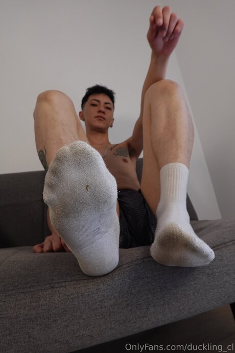 Duckling Cl art étoile galeries