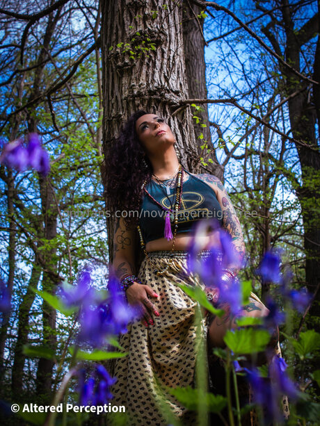 Novemberreign Free jolie actrice image