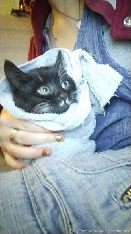 Padelleinsalamoia modèle exclusif photo