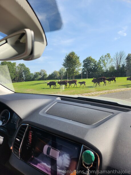 Samanthajolie modèle parfait photos