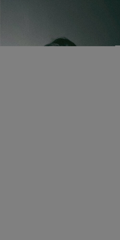 Twisted Gem actrice adulte galeries