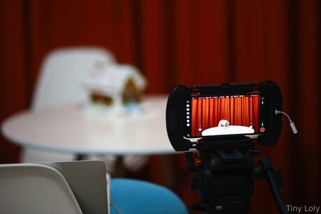 Tiny Loly étoile de haute qualité collection