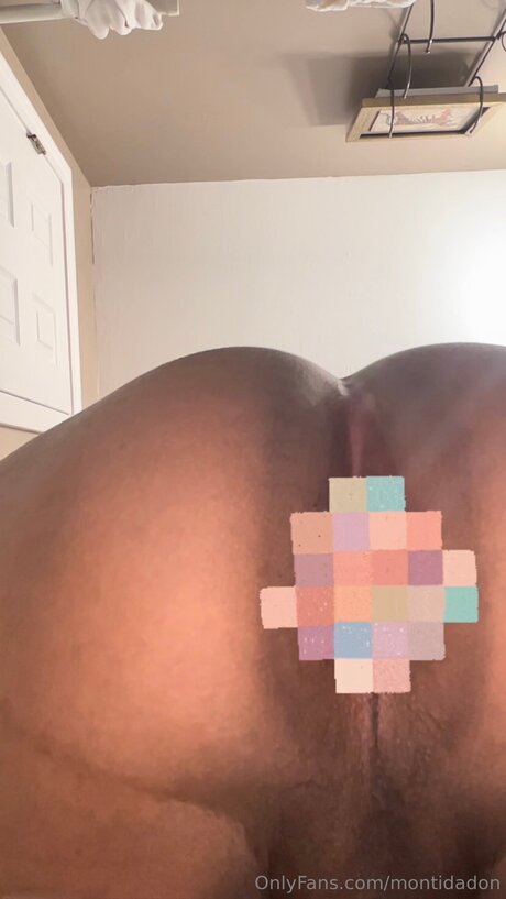 Montidadon modèle sympa collection