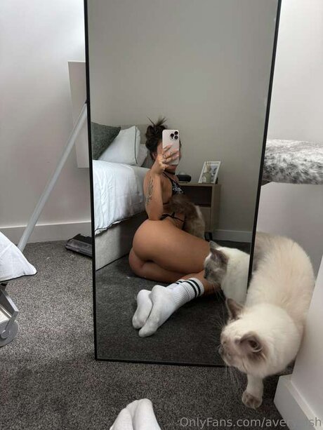 Averyelsh belle étoile img