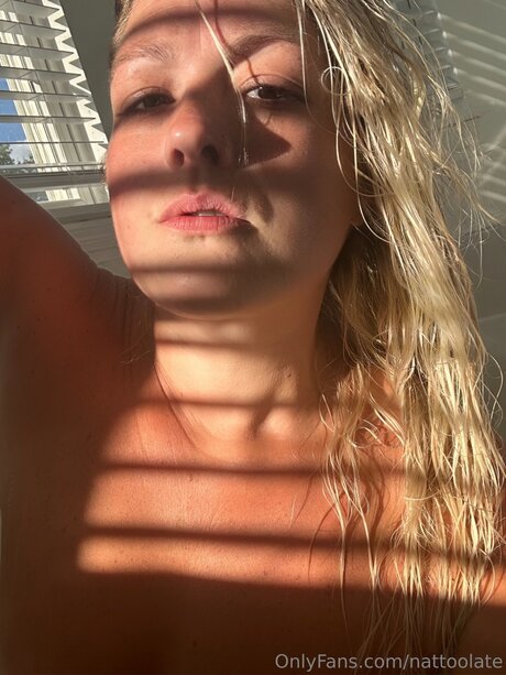 Nattoolate étoile parfaite photos