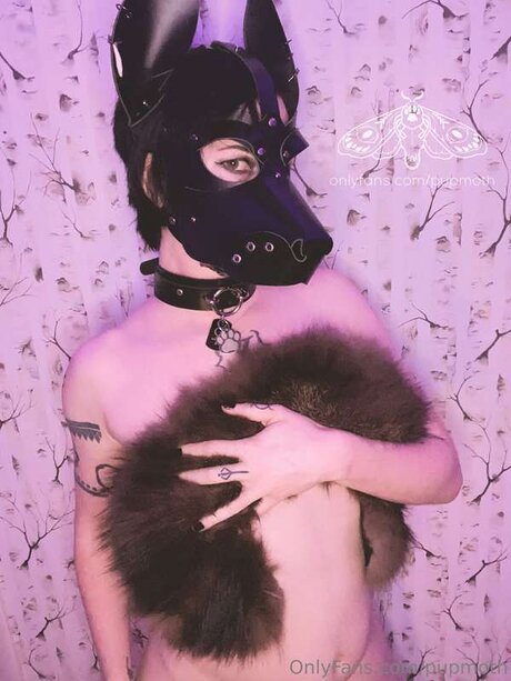 Pupmoth star du sexe des photos