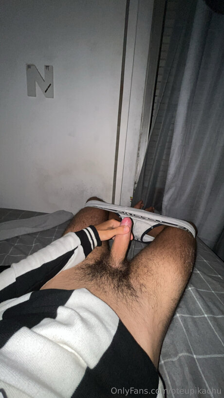 Oteupikachu beau modèle img