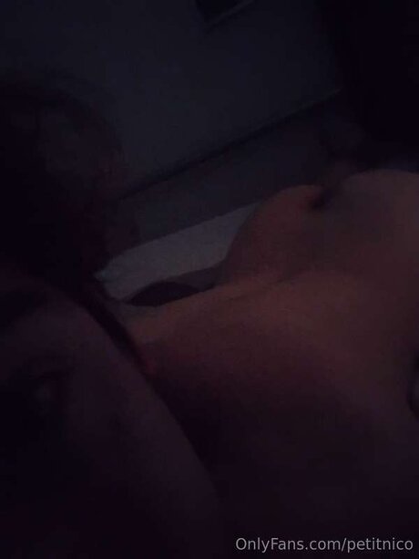 Petitnico actrice adulte collection